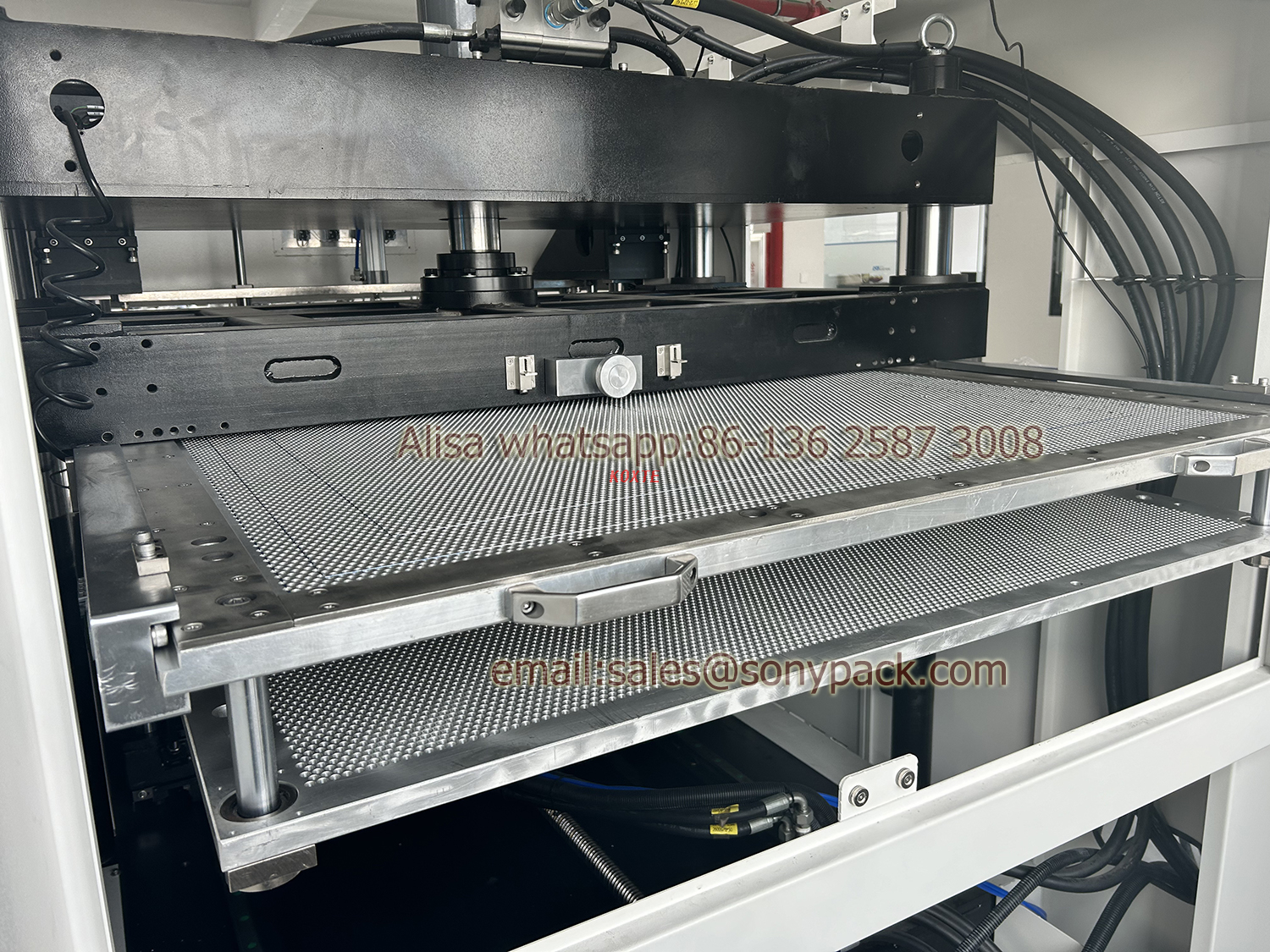 Automatic Offline Blanking Machine for Paper Cups Fan Plate Tray Container Blankdie Cutting Stripping Machines