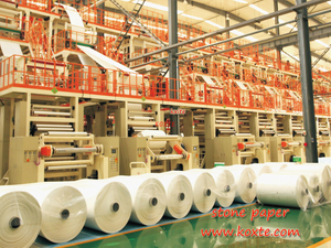 Rpd Waterproof Paper Stone Paper